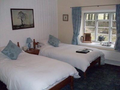 twin room